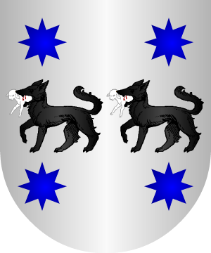 ESCUDO ALEATORIO